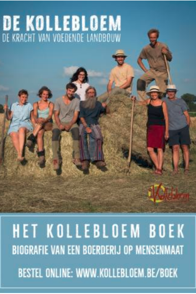 kollebloem