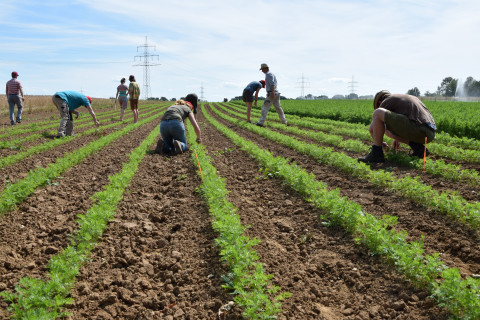 Landwijzervisie op duurzame landbouw