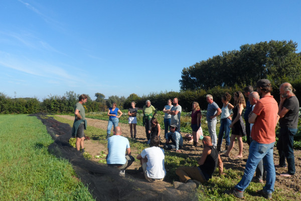 BD Zomerschool