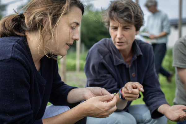 Leertraject biolandbouw en biodynamische landbouw