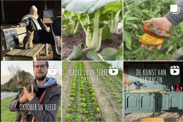 Sociale media bio landbouw