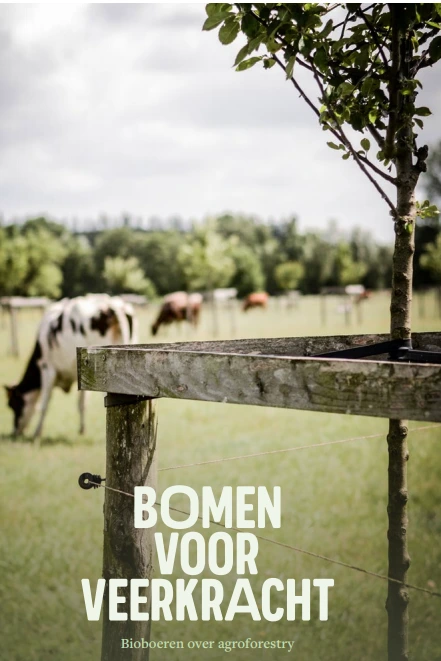 bomen voor veerkracht