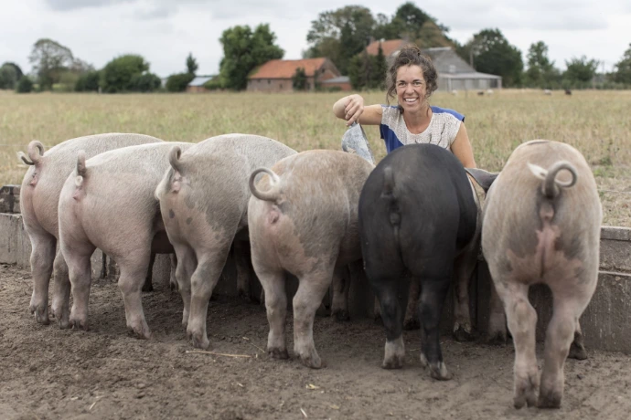 Boederij VoedT